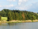 Obr. 8