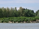 Obr. 5