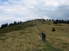 2015-08-22_132539