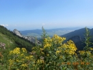 2015-08-07-104036