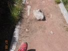 2015-08-07-111520
