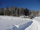 2017-01-07_142512