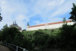 IMG_0121
