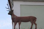 IMG_0201