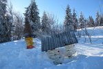 IMG_5088