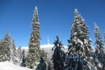 IMG_5120