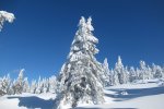 IMG_5501