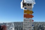 IMG_5557