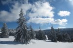 IMG_5668