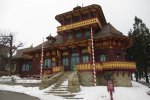 IMG_6989