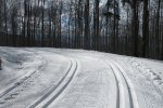 IMG_7117