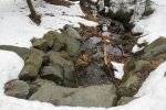 IMG_7308