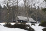 IMG_7345