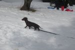 IMG_7555