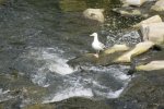 IMG_6806