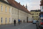 IMG_7517