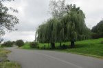 IMG_4996