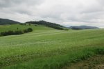 IMG_5103