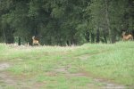 IMG_6292