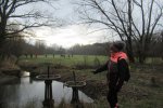 IMG_1393
