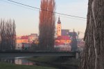 IMG_1987