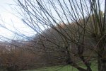 IMG_2816