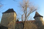 IMG_2860