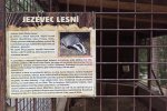 Den_vody_Sance_4700