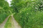 10.6.-2023-OSOBLAZSKO-734-Large